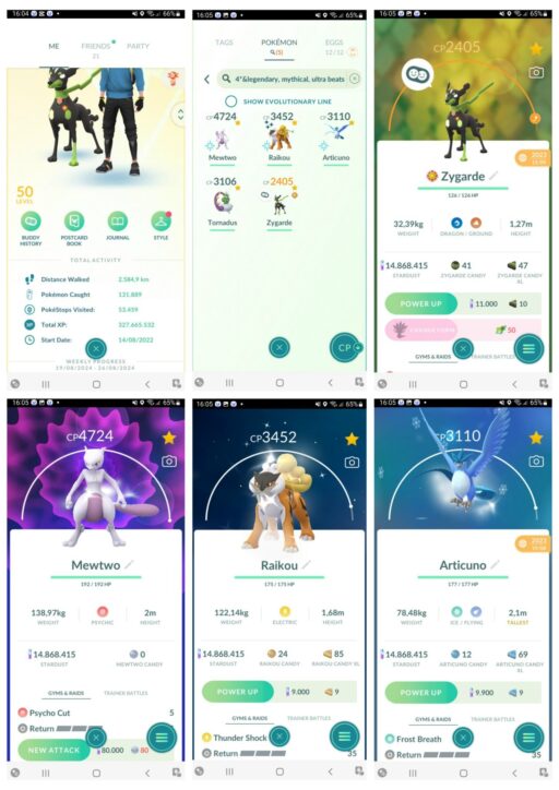 Pokémon Go Account Level 50 - IV100 Zygarde, Mewtwo, Shundo Raikou