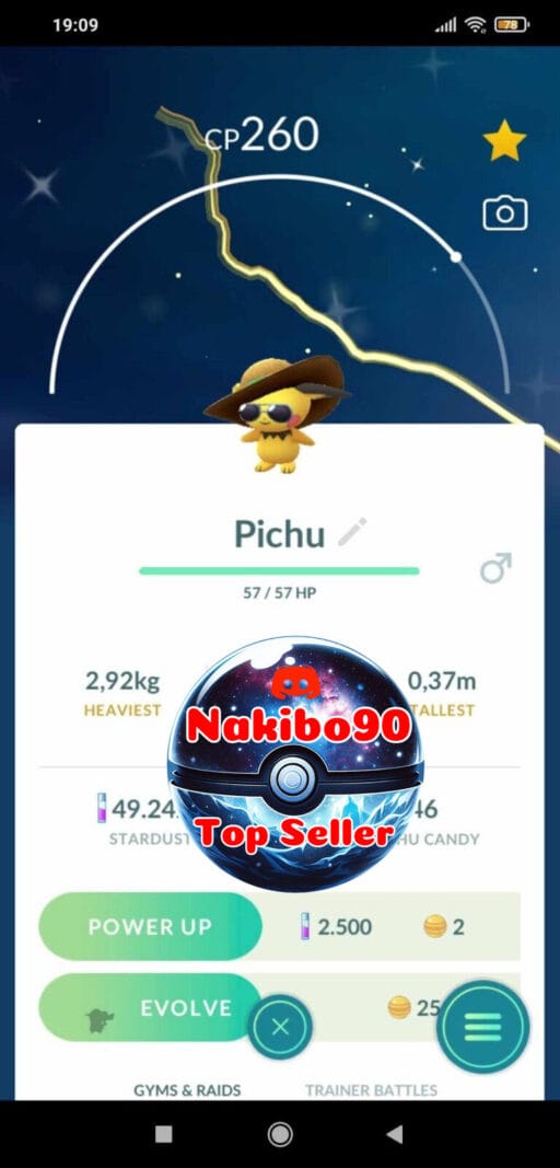 Pokémon Go Shiny Pichu Summer Hat