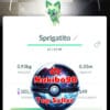 Pokémon Go Shiny Sprigatito special background Dual Destiny